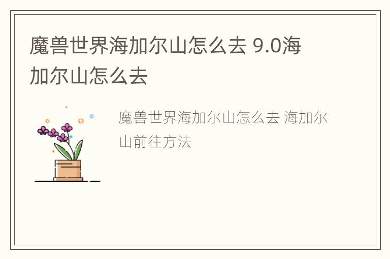 魔兽世界海加尔山怎么去 9.0海加尔山怎么去