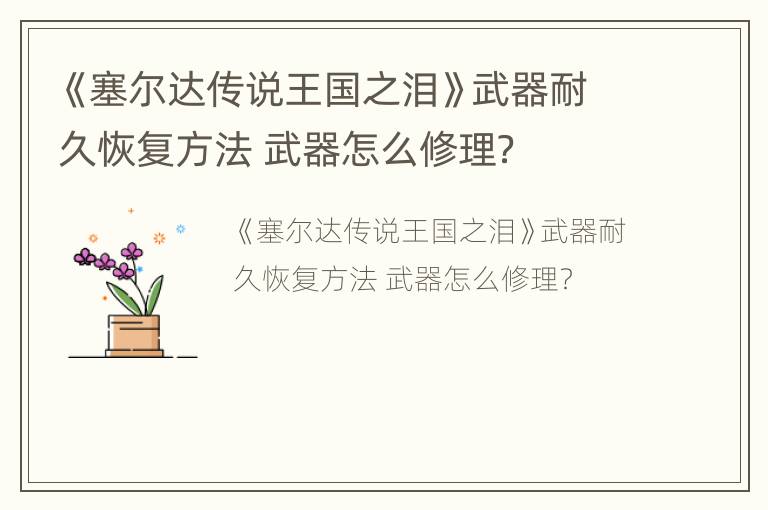 《塞尔达传说王国之泪》武器耐久恢复方法 武器怎么修理？