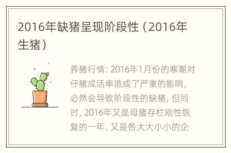 2016年缺猪呈现阶段性（2016年生猪）