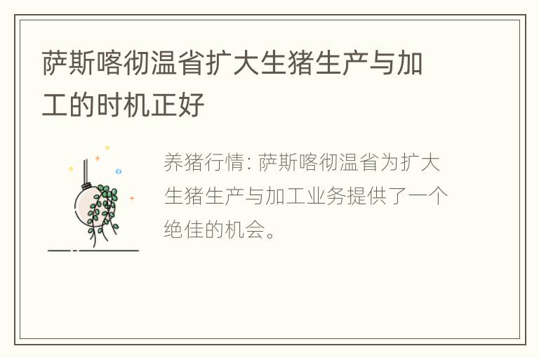 萨斯喀彻温省扩大生猪生产与加工的时机正好