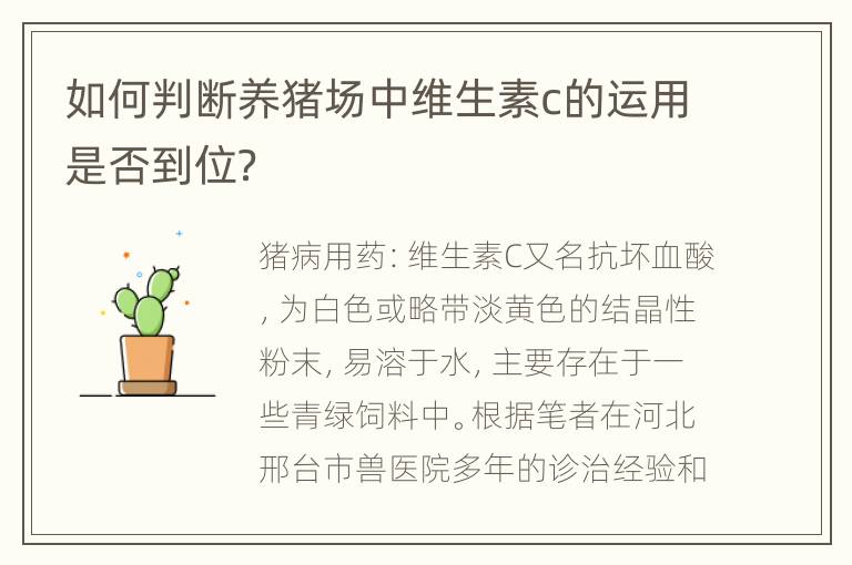 如何判断养猪场中维生素c的运用是否到位？