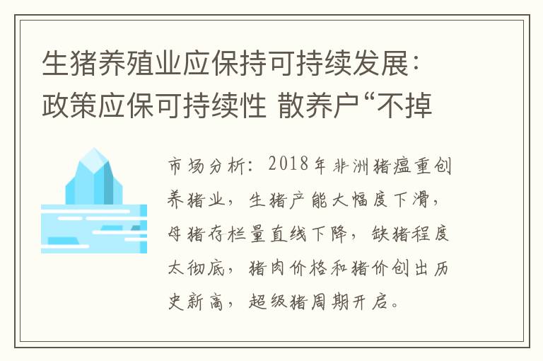 生猪养殖业应保持可持续发展：政策应保可持续性 散养户“不掉队