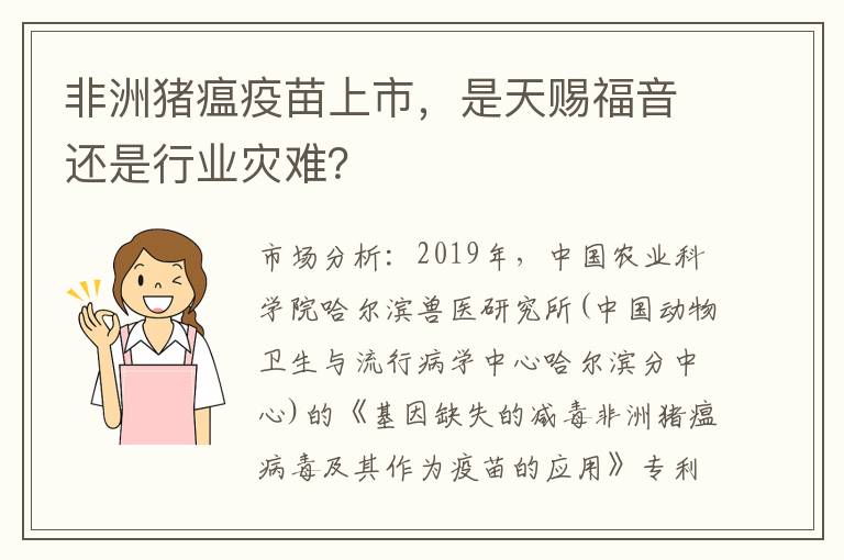 非洲猪瘟疫苗上市，是天赐福音还是行业灾难？