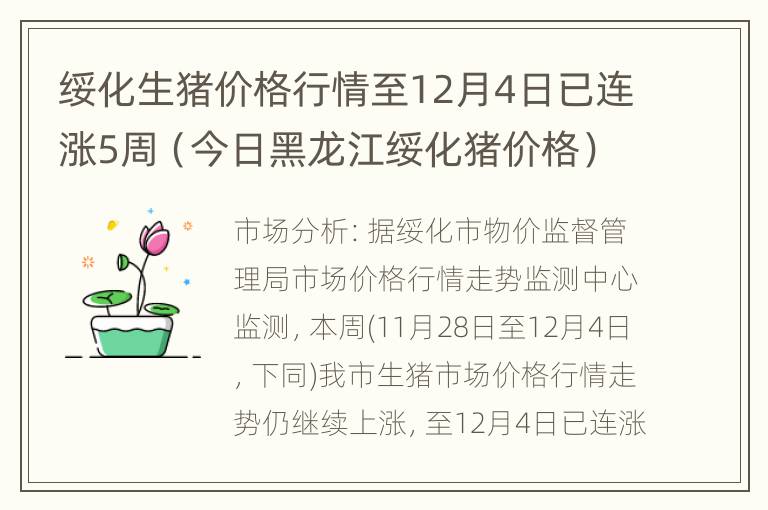 绥化生猪价格行情至12月4日已连涨5周（今日黑龙江绥化猪价格）