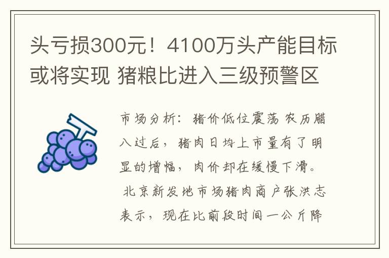 头亏损300元！4100万头产能目标或将实现 猪粮比进入三级预警区间