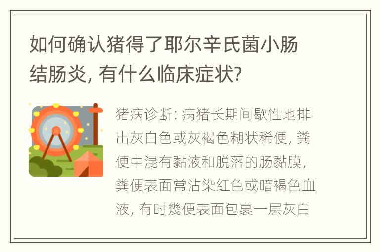 如何确认猪得了耶尔辛氏菌小肠结肠炎，有什么临床症状？