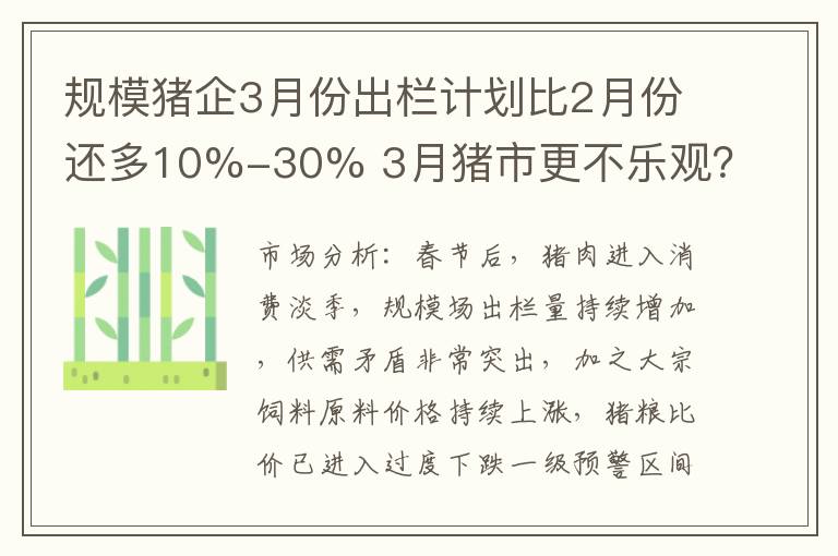 规模猪企3月份出栏计划比2月份还多10%-30% 3月猪市更不乐观？