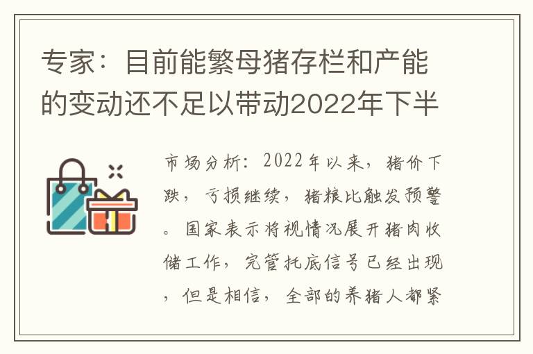 专家：目前能繁母猪存栏和产能的变动还不足以带动2022年下半年出现