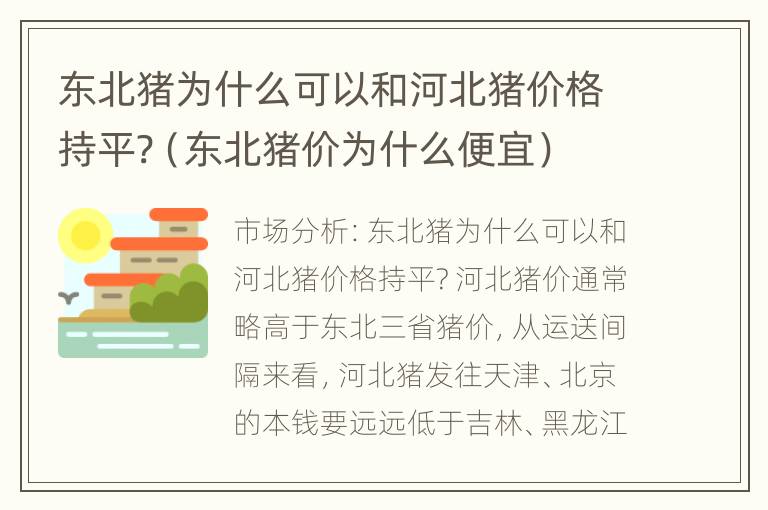 东北猪为什么可以和河北猪价格持平?（东北猪价为什么便宜）