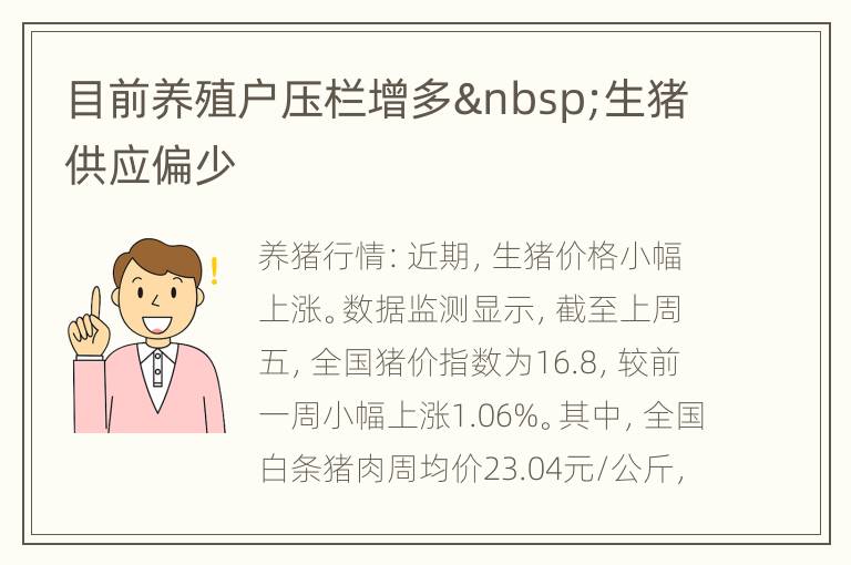 目前养殖户压栏增多 生猪供应偏少