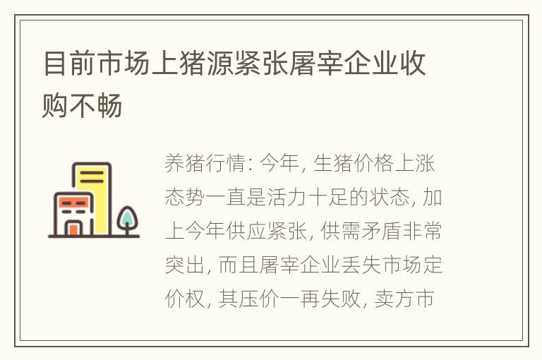 目前市场上猪源紧张屠宰企业收购不畅