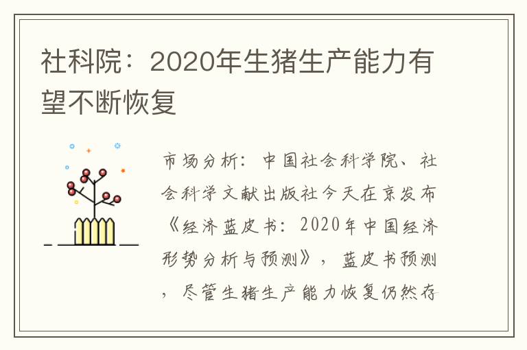 社科院：2020年生猪生产能力有望不断恢复