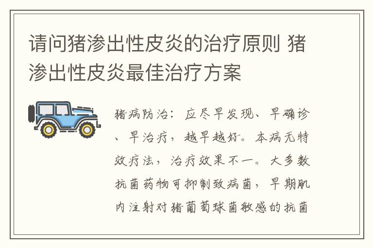 请问猪渗出性皮炎的治疗原则 猪渗出性皮炎最佳治疗方案