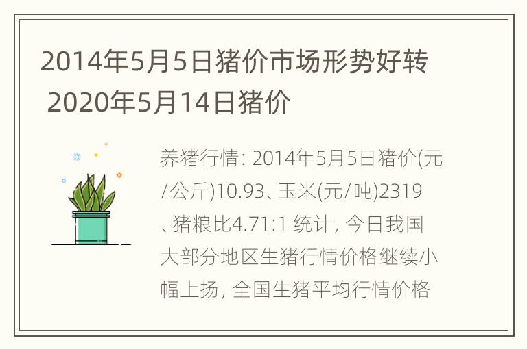 2014年5月5日猪价市场形势好转 2020年5月14日猪价