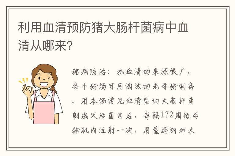 利用血清预防猪大肠杆菌病中血清从哪来？