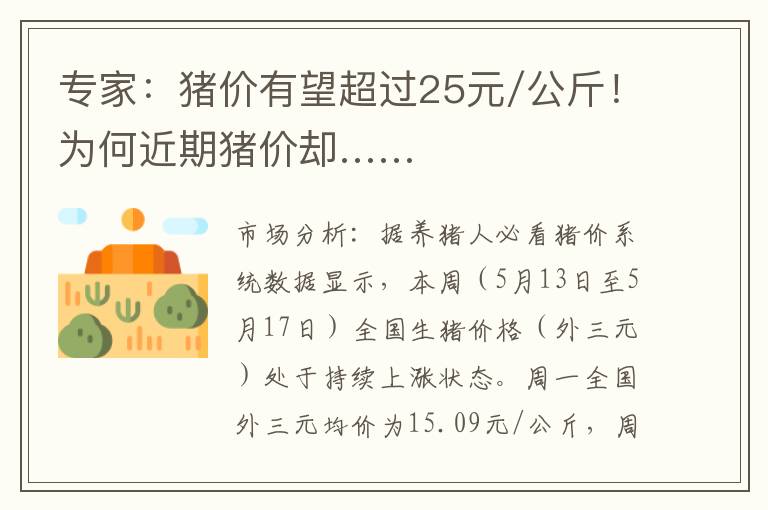 专家：猪价有望超过25元/公斤！为何近期猪价却……