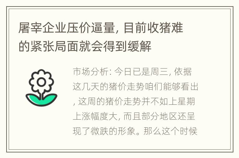 屠宰企业压价逼量，目前收猪难的紧张局面就会得到缓解