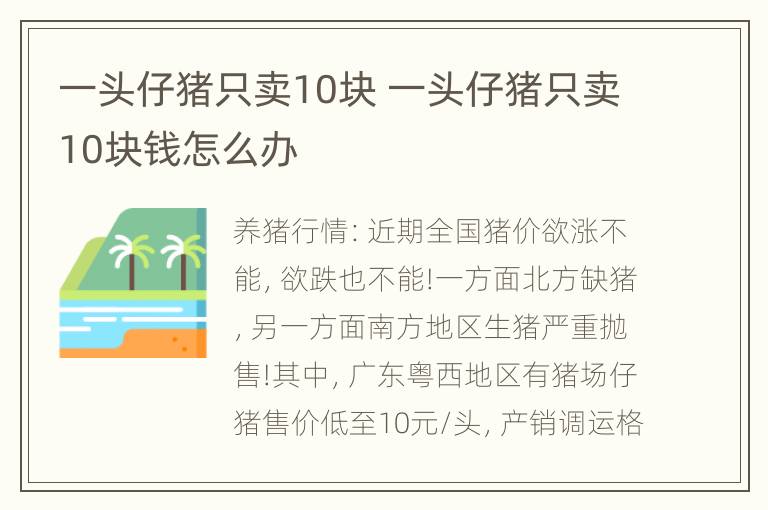 一头仔猪只卖10块 一头仔猪只卖10块钱怎么办