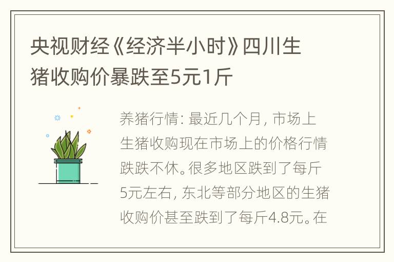 央视财经《经济半小时》四川生猪收购价暴跌至5元1斤