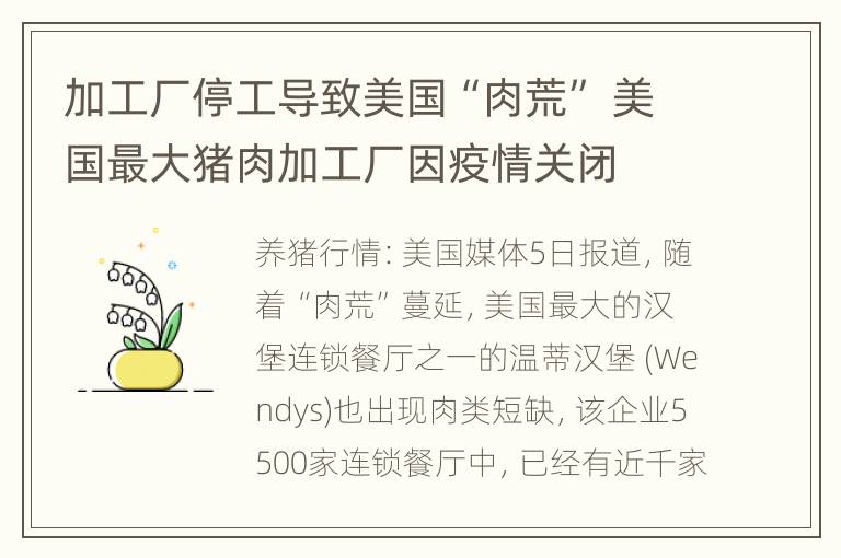 加工厂停工导致美国“肉荒” 美国最大猪肉加工厂因疫情关闭