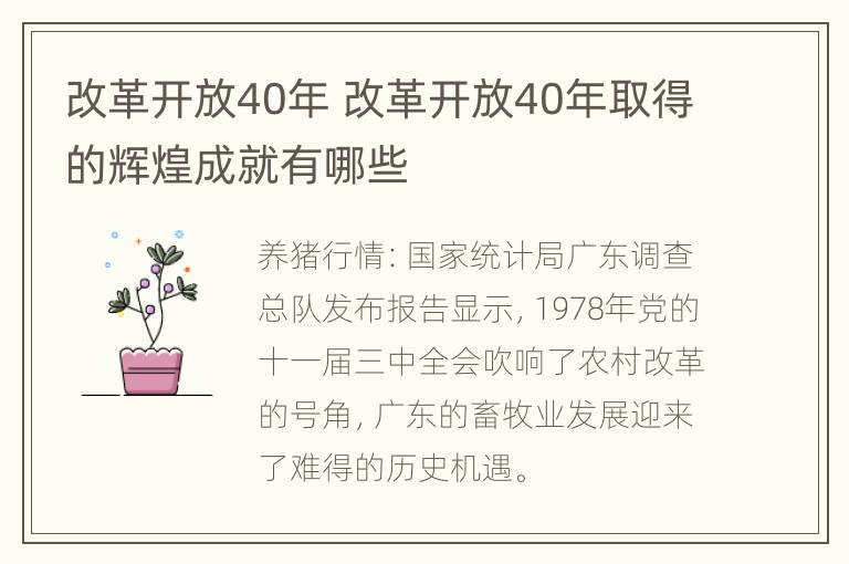 改革开放40年 改革开放40年取得的辉煌成就有哪些