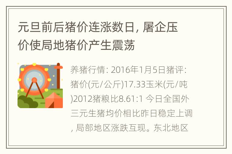 元旦前后猪价连涨数日，屠企压价使局地猪价产生震荡