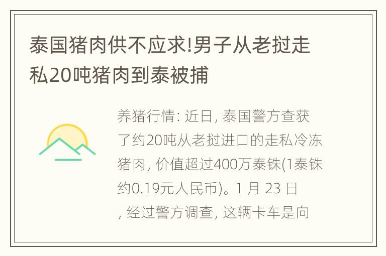 泰国猪肉供不应求!男子从老挝走私20吨猪肉到泰被捕