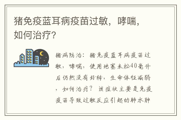 猪免疫蓝耳病疫苗过敏，哮喘，如何治疗？