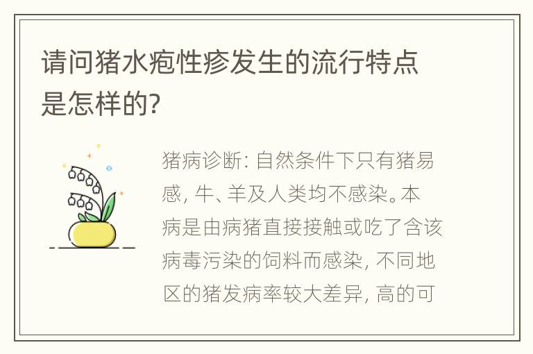 请问猪水疱性疹发生的流行特点是怎样的？