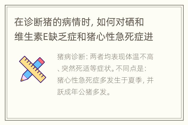 在诊断猪的病情时，如何对硒和维生素E缺乏症和猪心性急死症进行鉴