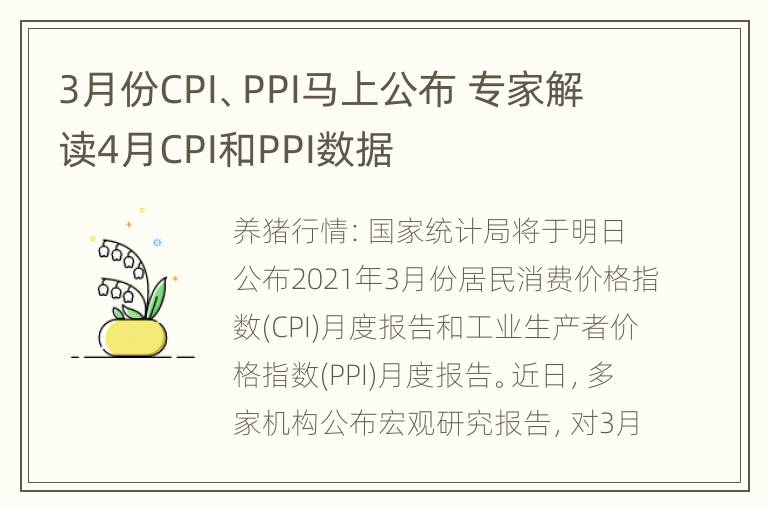 3月份CPI、PPI马上公布 专家解读4月CPI和PPI数据