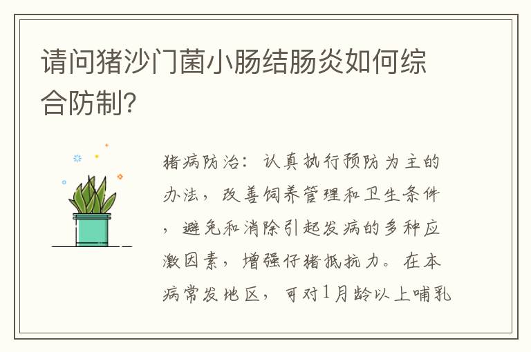 请问猪沙门菌小肠结肠炎如何综合防制？