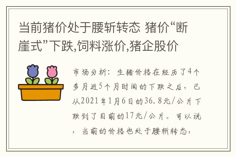 当前猪价处于腰斩转态 猪价“断崖式”下跌,饲料涨价,猪企股价被腰斩