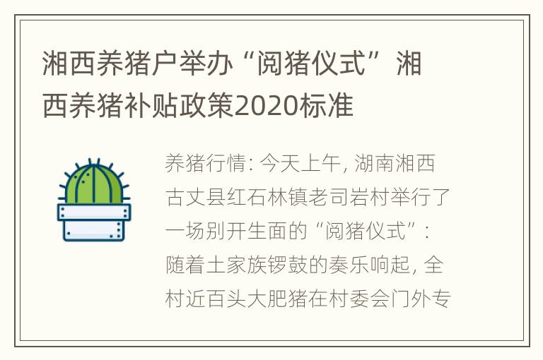 湘西养猪户举办“阅猪仪式” 湘西养猪补贴政策2020标准