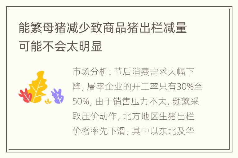 能繁母猪减少致商品猪出栏减量可能不会太明显