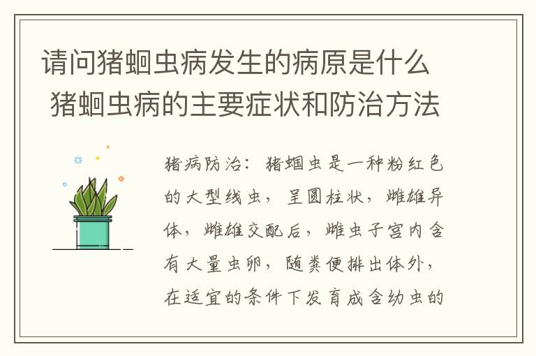 请问猪蛔虫病发生的病原是什么 猪蛔虫病的主要症状和防治方法