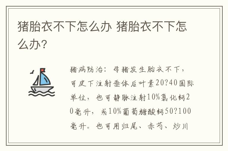 猪胎衣不下怎么办 猪胎衣不下怎么办?