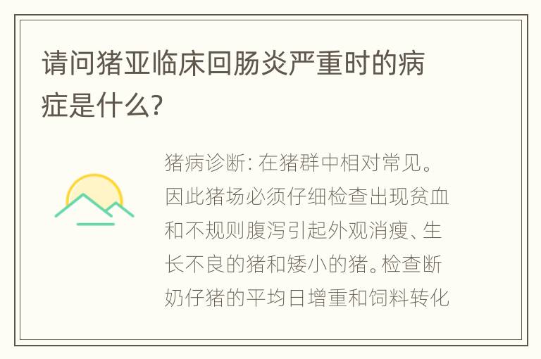 请问猪亚临床回肠炎严重时的病症是什么？