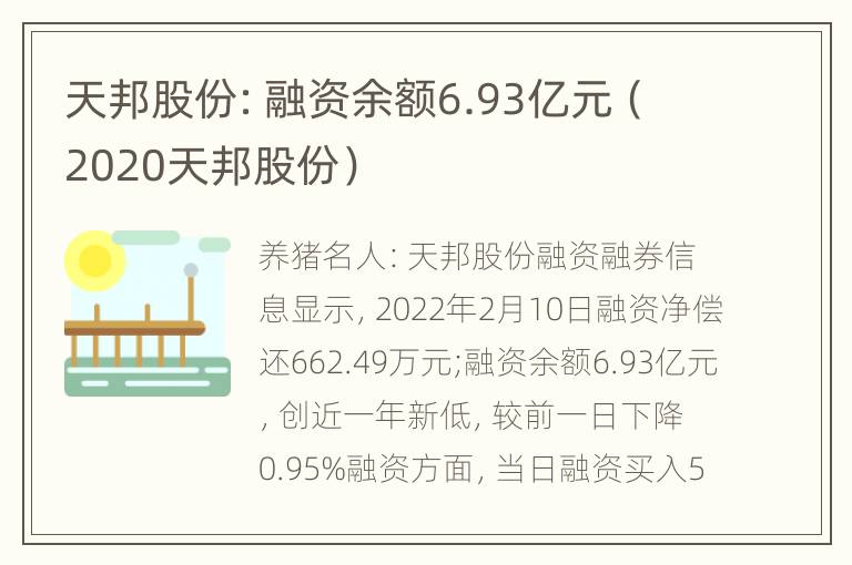 天邦股份：融资余额6.93亿元（2020天邦股份）