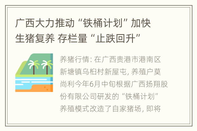 广西大力推动“铁桶计划”加快生猪复养 存栏量“止跌回升”