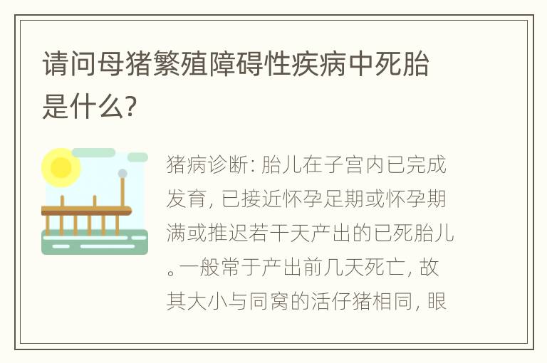 请问母猪繁殖障碍性疾病中死胎是什么？