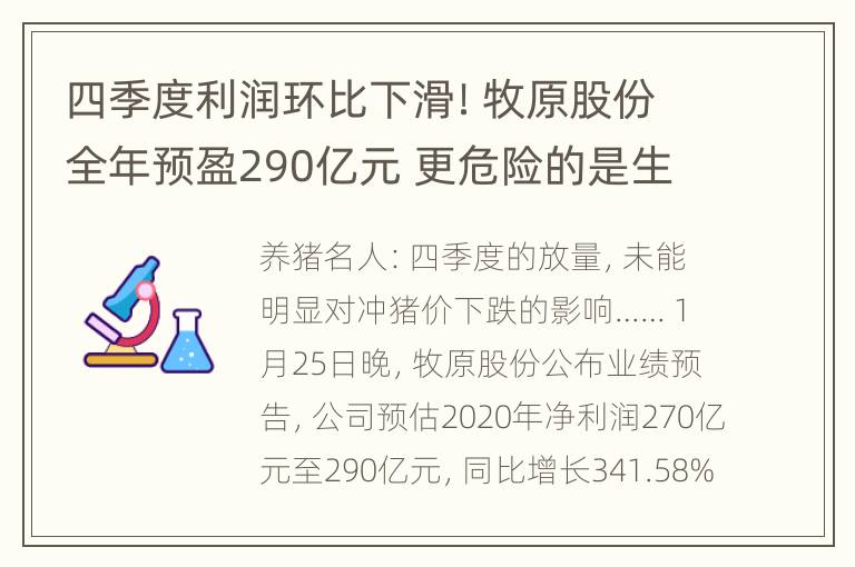 四季度利润环比下滑！牧原股份全年预盈290亿元 更危险的是生猪期