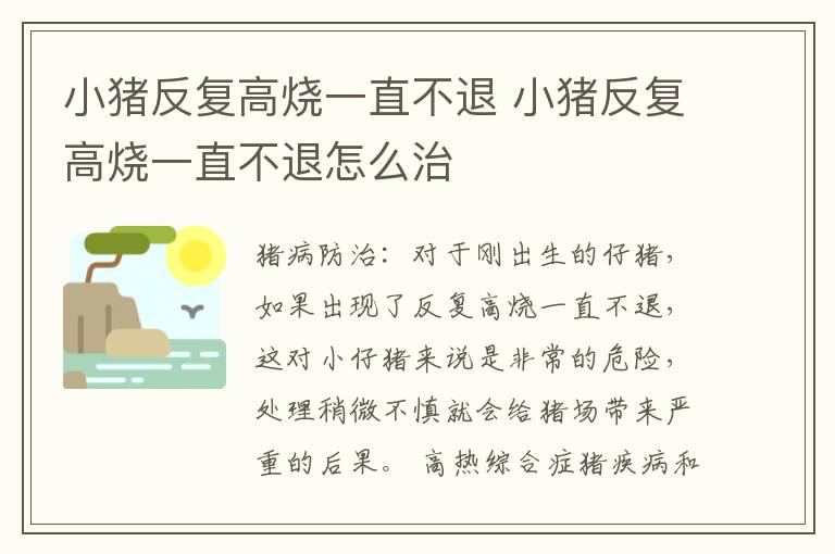 小猪反复高烧一直不退 小猪反复高烧一直不退怎么治