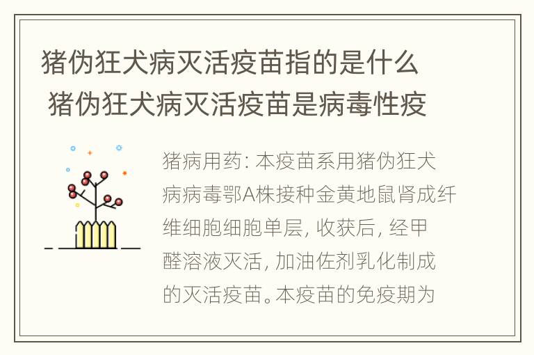 猪伪狂犬病灭活疫苗指的是什么 猪伪狂犬病灭活疫苗是病毒性疫苗吗