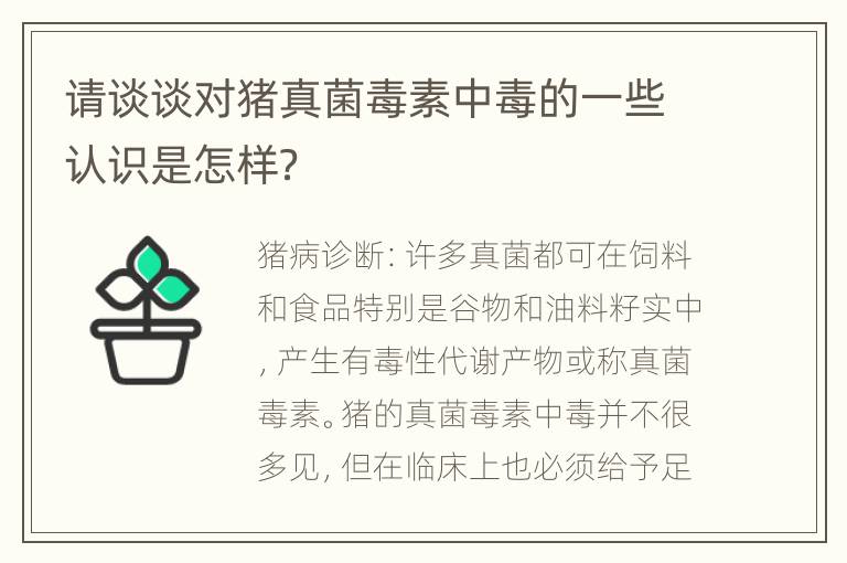 请谈谈对猪真菌毒素中毒的一些认识是怎样？