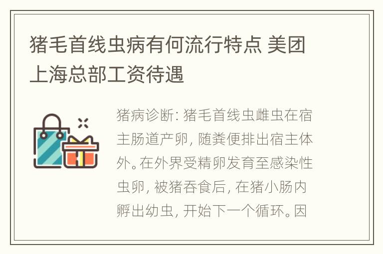 猪毛首线虫病有何流行特点 美团上海总部工资待遇