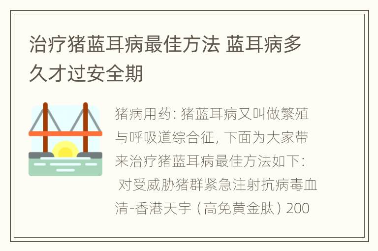 治疗猪蓝耳病最佳方法 蓝耳病多久才过安全期