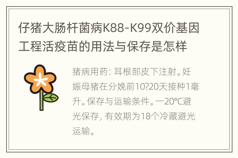 仔猪大肠杆菌病K88-K99双价基因工程活疫苗的用法与保存是怎样的