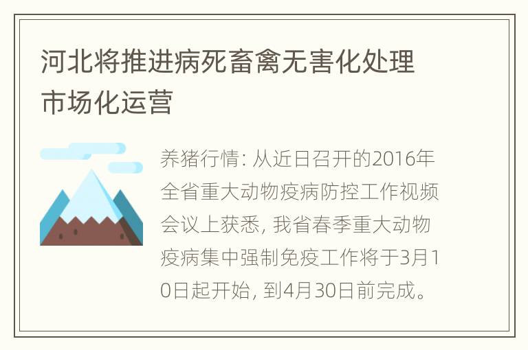 河北将推进病死畜禽无害化处理市场化运营