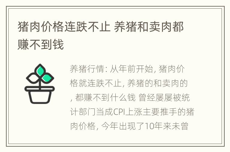 猪肉价格连跌不止 养猪和卖肉都赚不到钱